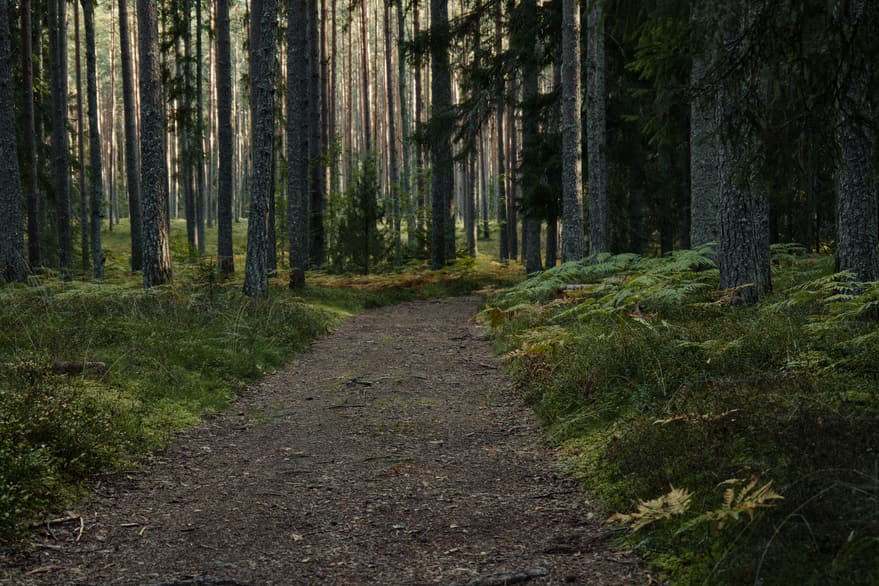 Bageriet i Hvalsø